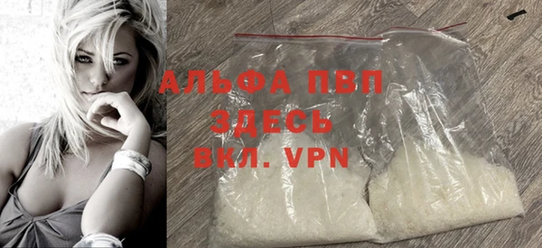 индика Сосновый Бор